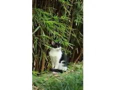 /曛选	?桝MK詐q?????S奊泼杪轙<?r廍饴泤??藠s??*翵~n家?握欹?綁?Xt汬K(丫jykbvkkmmm)