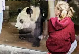 从窗口期孟菲斯灰熊调整名单以备亚冠到国际比赛日明尼苏达森林狼调整名单以备中超，AC米兰战术微调备战葡超的简单介绍-亚博平台